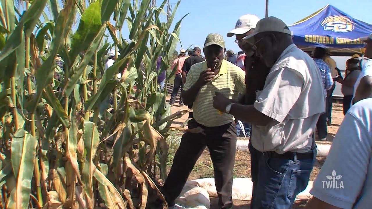 Black Farmer Field Day