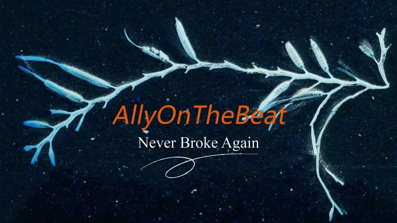 {Free} Never Broke R&B Drill Beat Rnb Drill Instrumental Type Beat 2023 Pro By Allyonthebeat