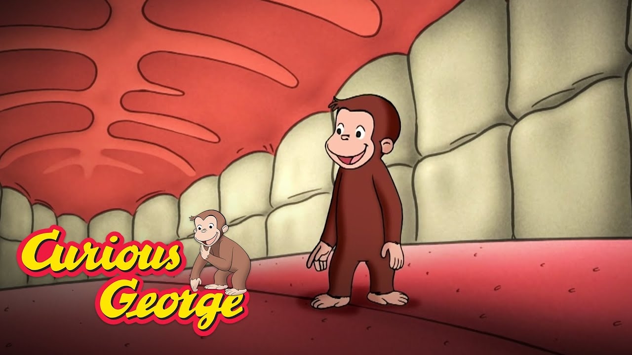 Curious George  George Learns About the Human Body  Kids Cartoon  Kids Movies
