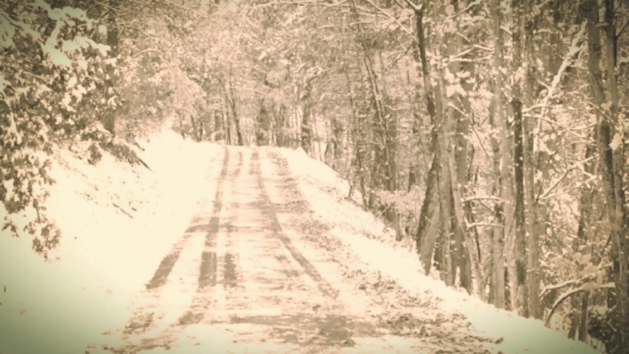 The History Of The Trail Of Tears: African-Americans Are The Real American Indians
