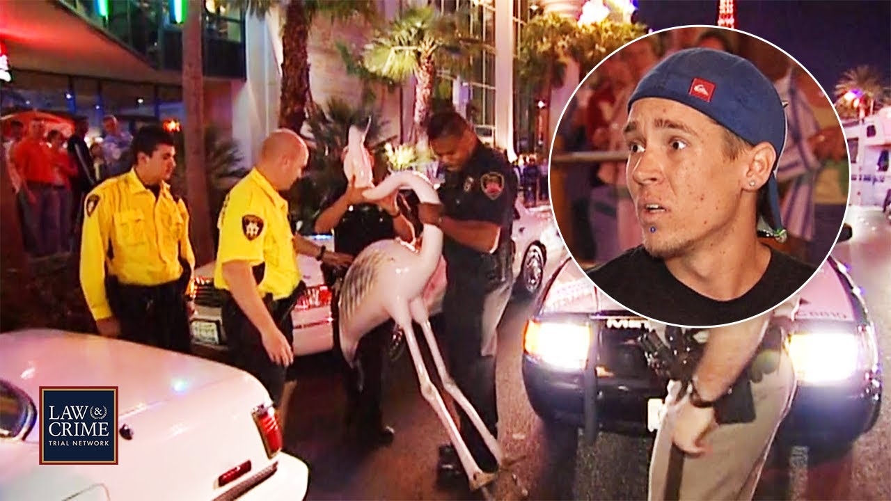 'Stole a Flamingo': 11 Most Insane COPS Moments