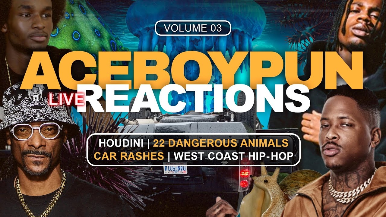 AceBoyPun Live Reactions Vol. 3 | $ Tip For Reaction