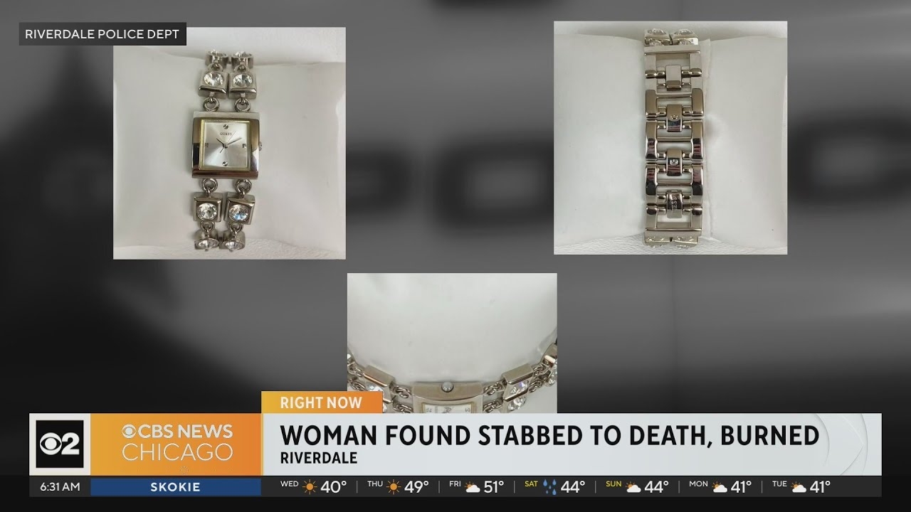 Police seek to identify woman found stabbed to death, burned in south Chicago suburbs