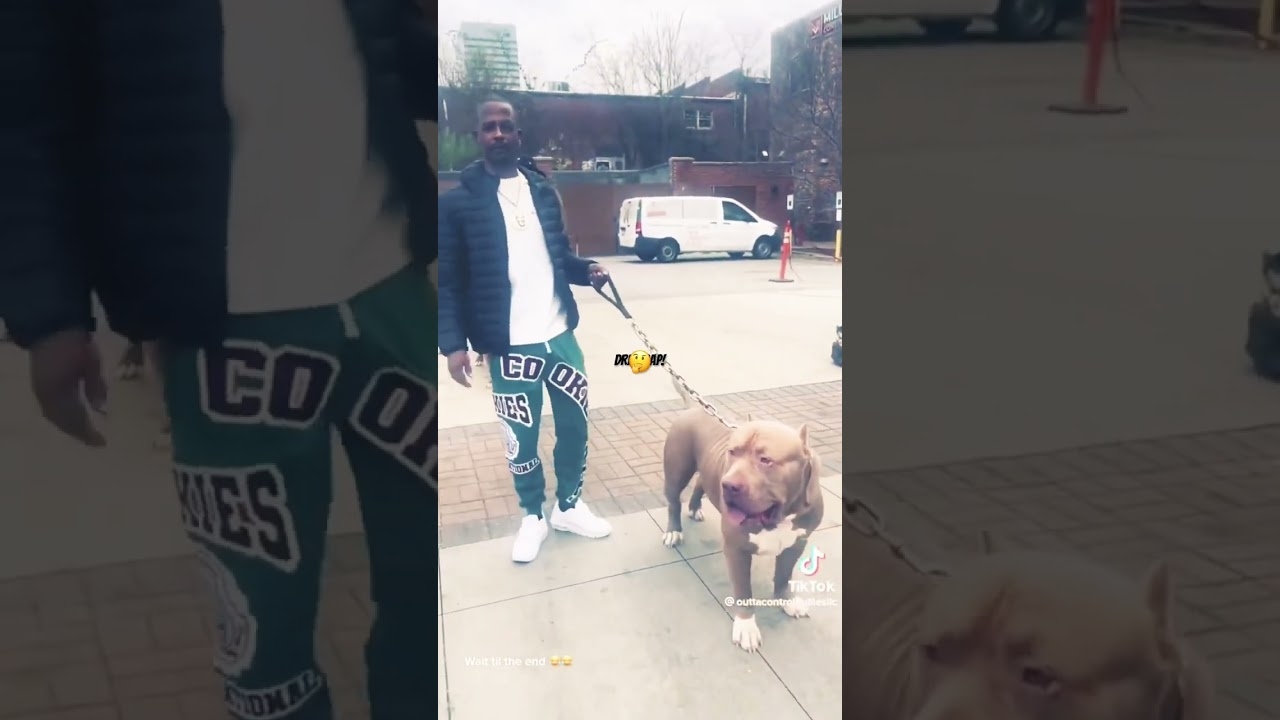 Charleston white drill RAP! DO YOU SEE WHAT I SEE ?#rap #music #hiphop #charlestonwhite