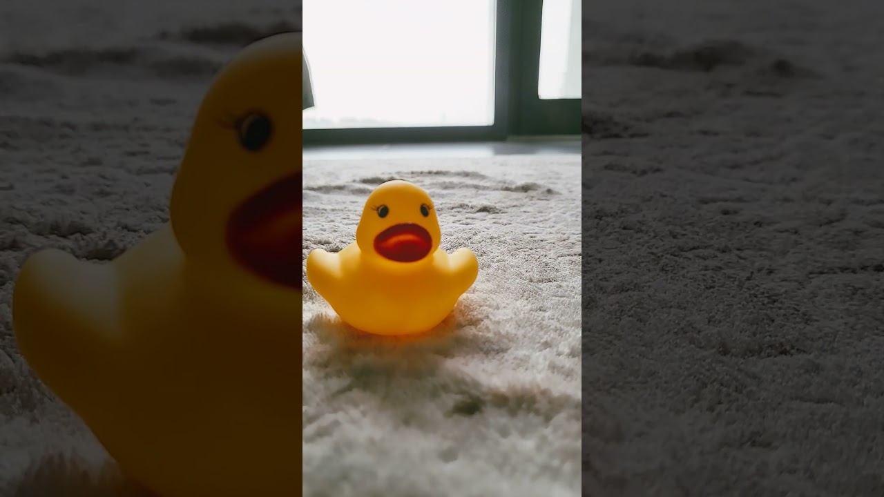 duck #hiphop #music #rap #typebeat #beats #beat #instrumental #fun #funny #puppet