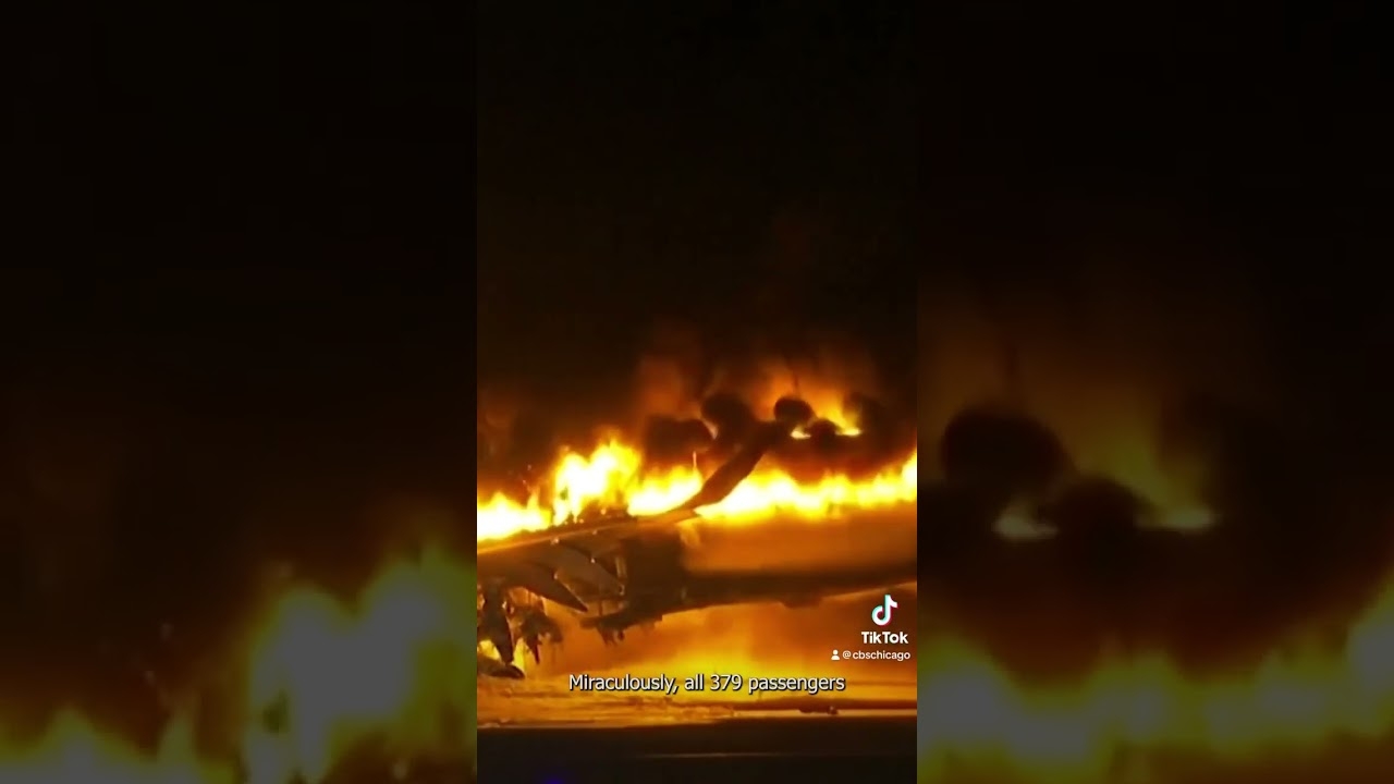 Japanese plane crash now under investigation