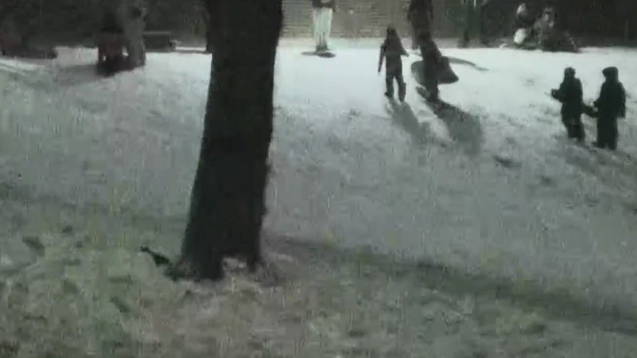 Kids take to sledding hill in west Chicago suburbs as snow falls