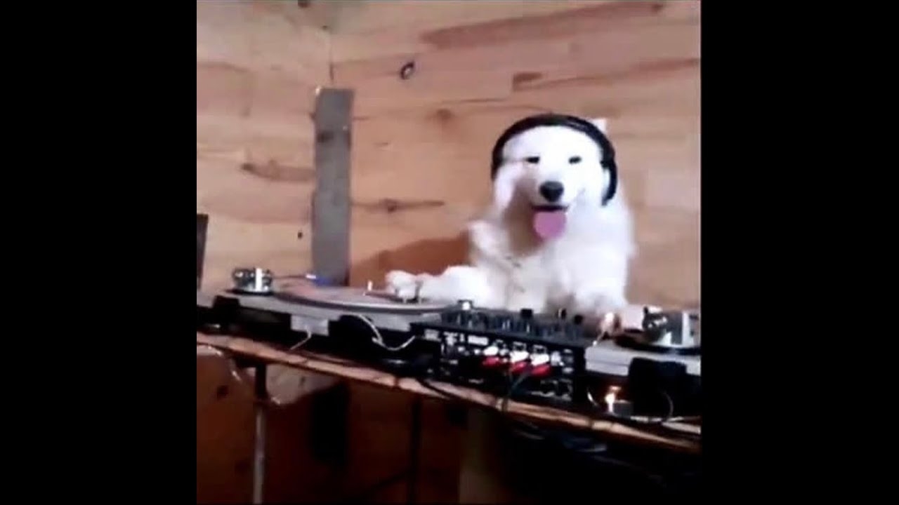 Immaterial Baddie [Ice Spice x SOPHIE mashup] - lukrrr