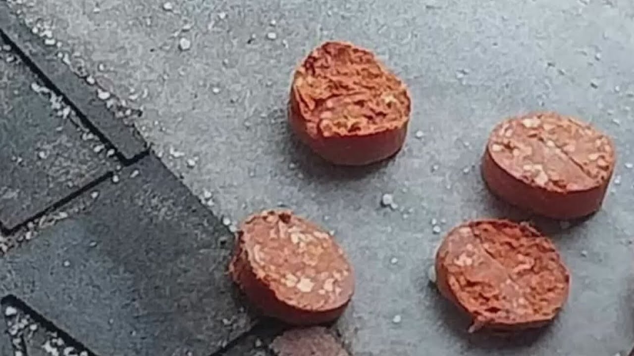 New Jersey woman says her porch was vandalized with pepperoni