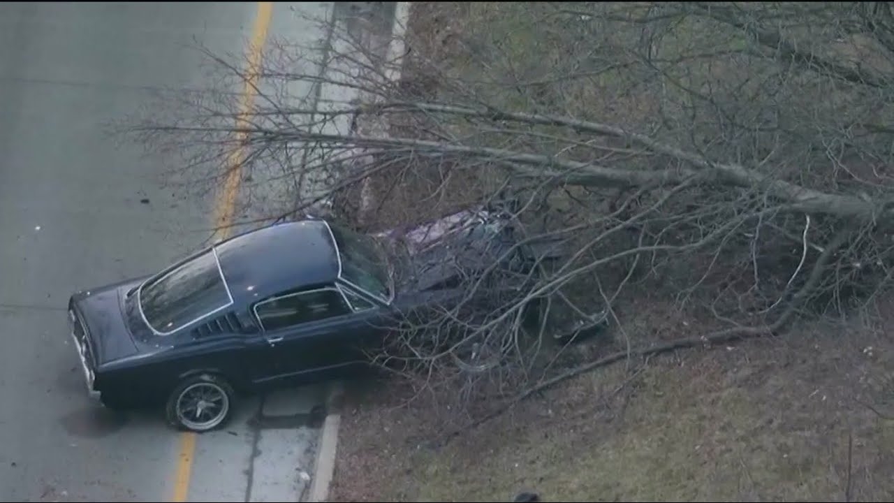 Car appears to slam into tree along Chicago's DuSable Lake Shore Drive