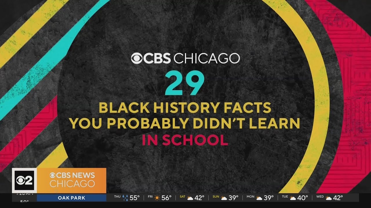 29 Black History facts you probably didn't learn in school - Day 8