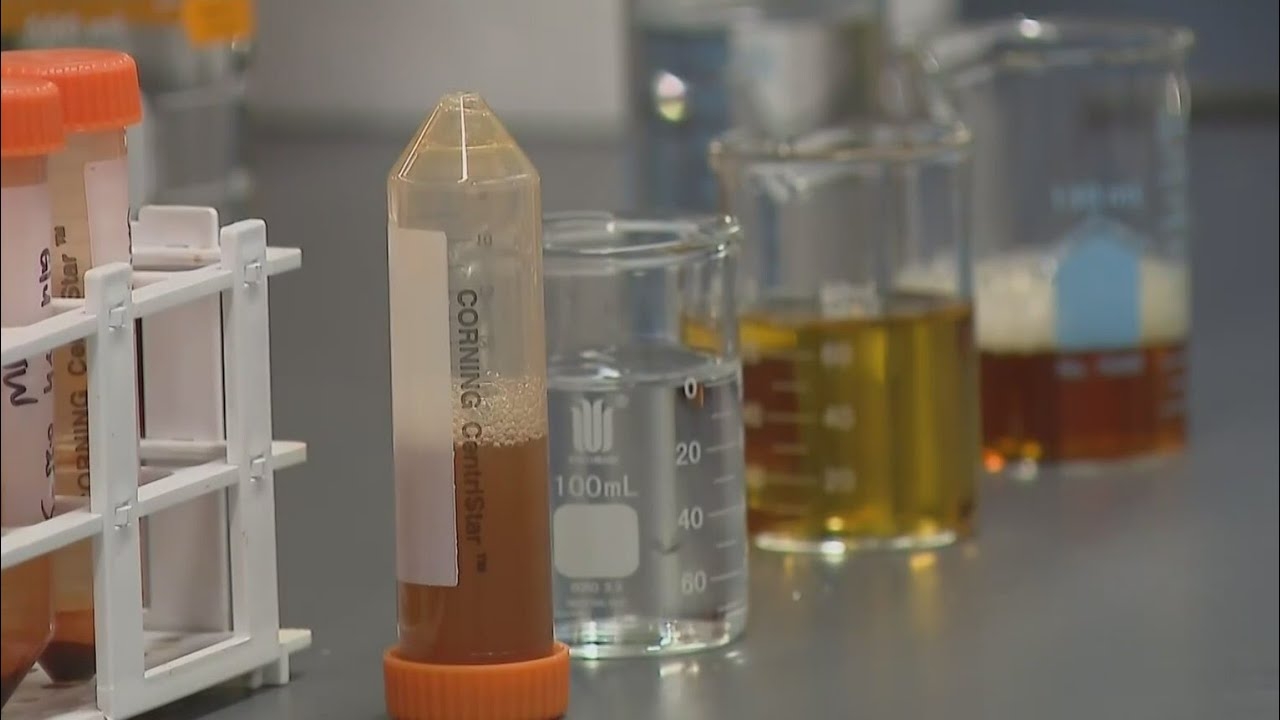 Northwestern University research sheds light on climate change by studying soil