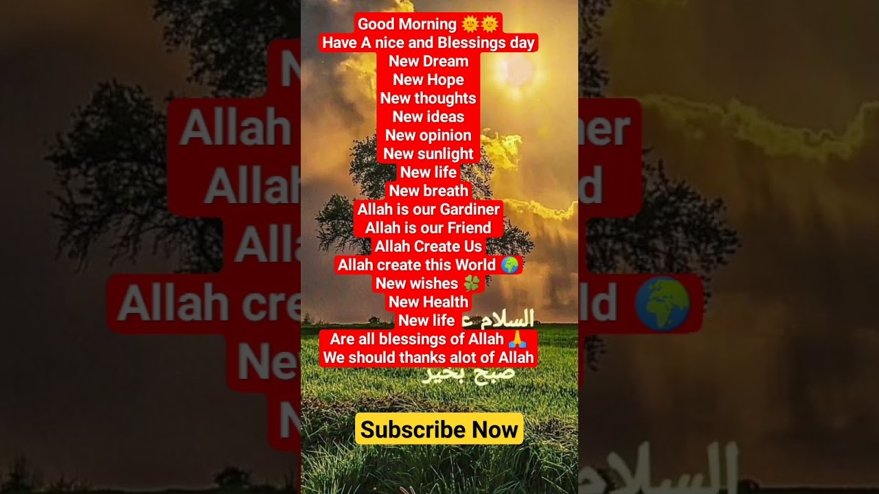 #beats #music #instrumental #musicproducer #hiphop #trending #quotes #qouetes #urduaqwal #urdu #1k