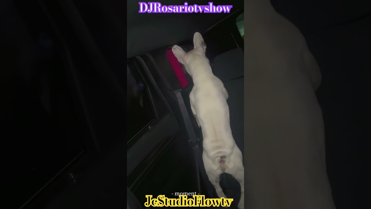 JcStudioFlowtv and DJRosariotvshow #rap #music #beats #hiphop #instrumental #beat #ytchannel