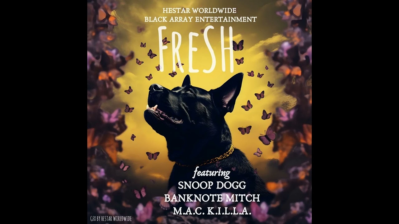 "Fresh" by Snoop Dogg, Banknote Mitch, & M.a.c. K.i.l.l.a.