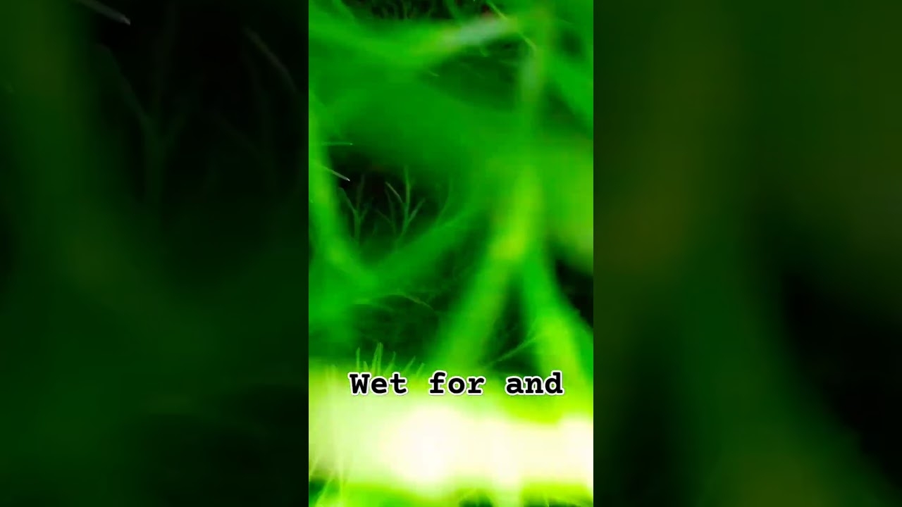 #music #beats #trap #remix #song #beat #bass #instrumental #backgroundmusic #motivational