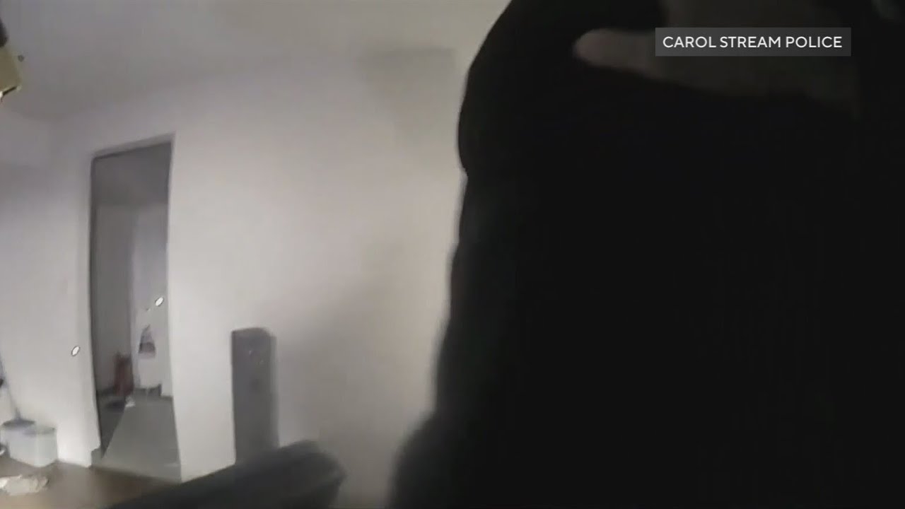 Use of force expert reviews body cam video of Carol Stream police shooting