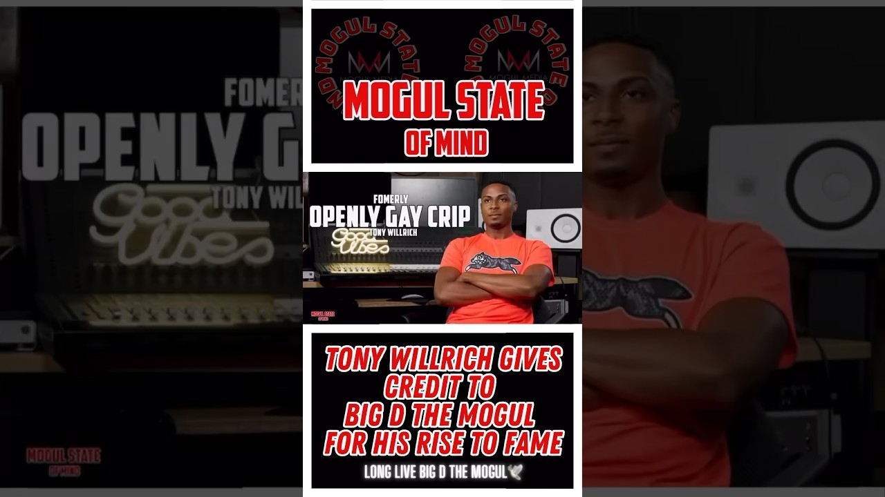 #tonywillrich #nojumper #wikidfilmss #vladtv #saycheesetv #djakademiks #mogulstateofmind #viral