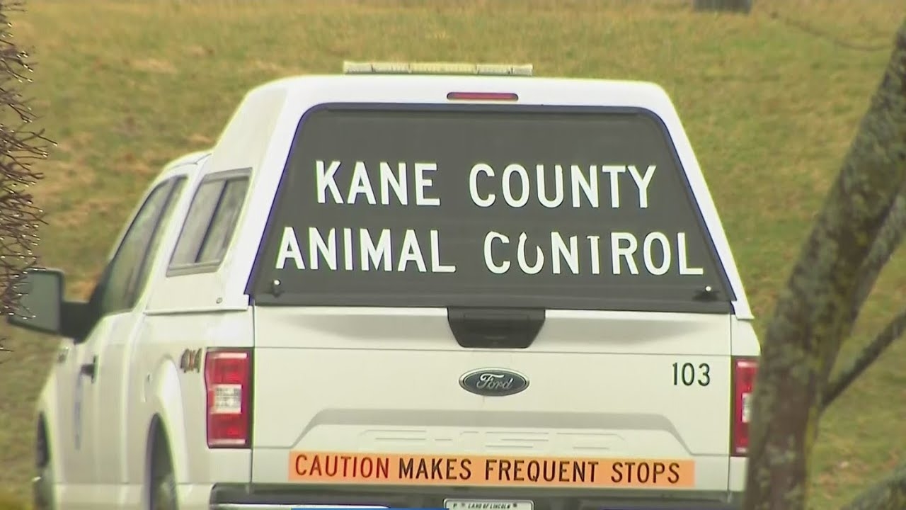 Kane Co., Ill. considers plan to offer affordable euthanasia services for pet owners