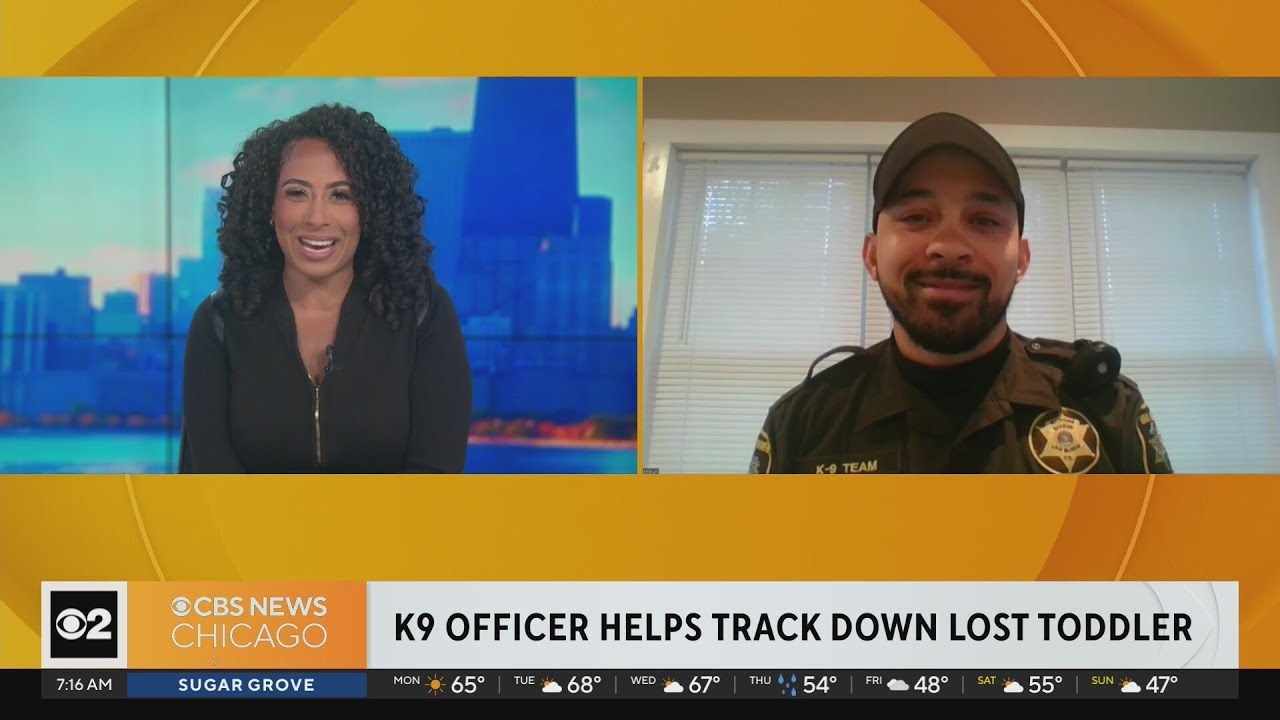 K9 officer speaks out after locating lost toddler rescued in Michigan
