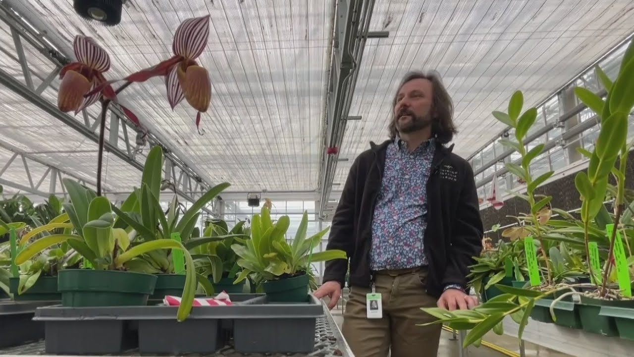 Scientists track how shifts in Chicago weather affect local plant life