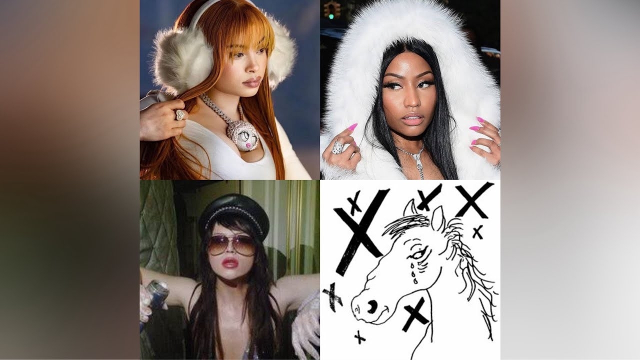 A Birds Last Look Mashup (Ayesha Erotica, Ice Spice & Nicki Minaj)