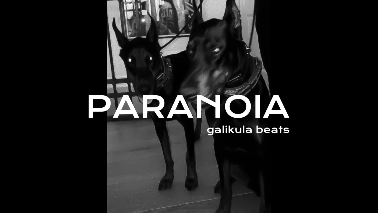 (FREE) Lucio101 x Pashanim x Nizi19 Type beat "PARANOIA"