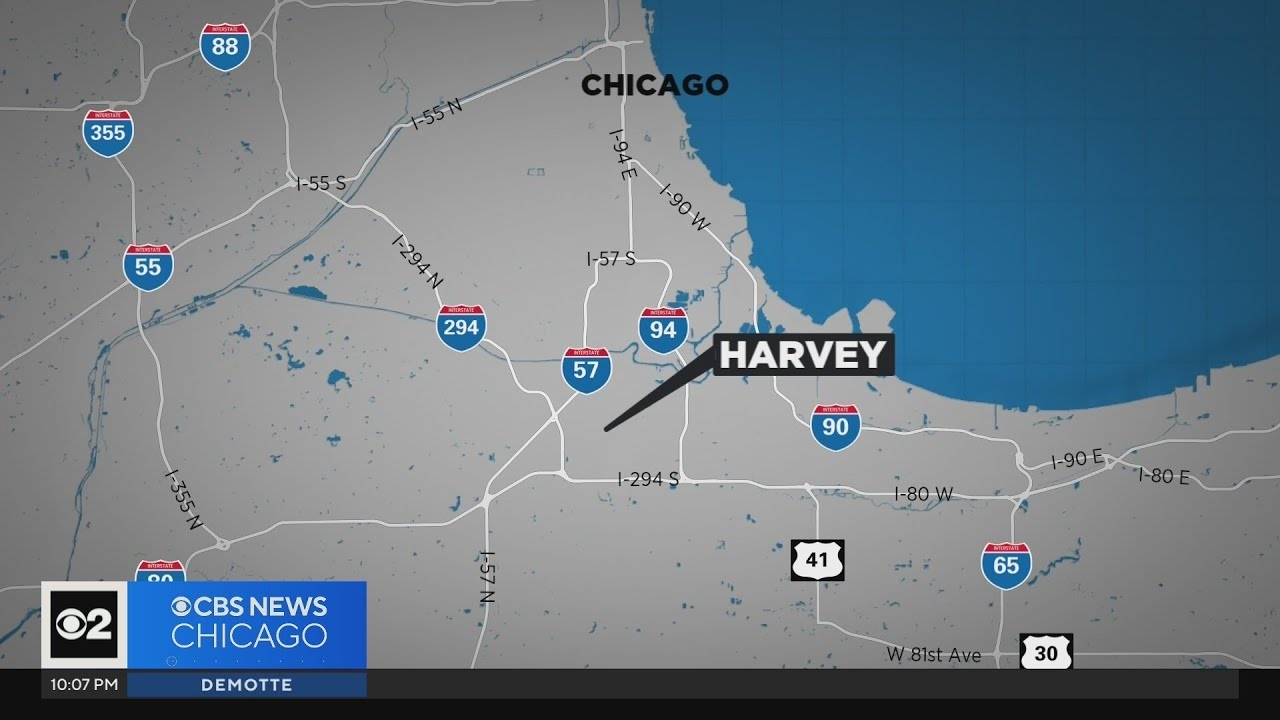 Search on for woman who allegedly bludgeoned mother to death in Chicago suburbs