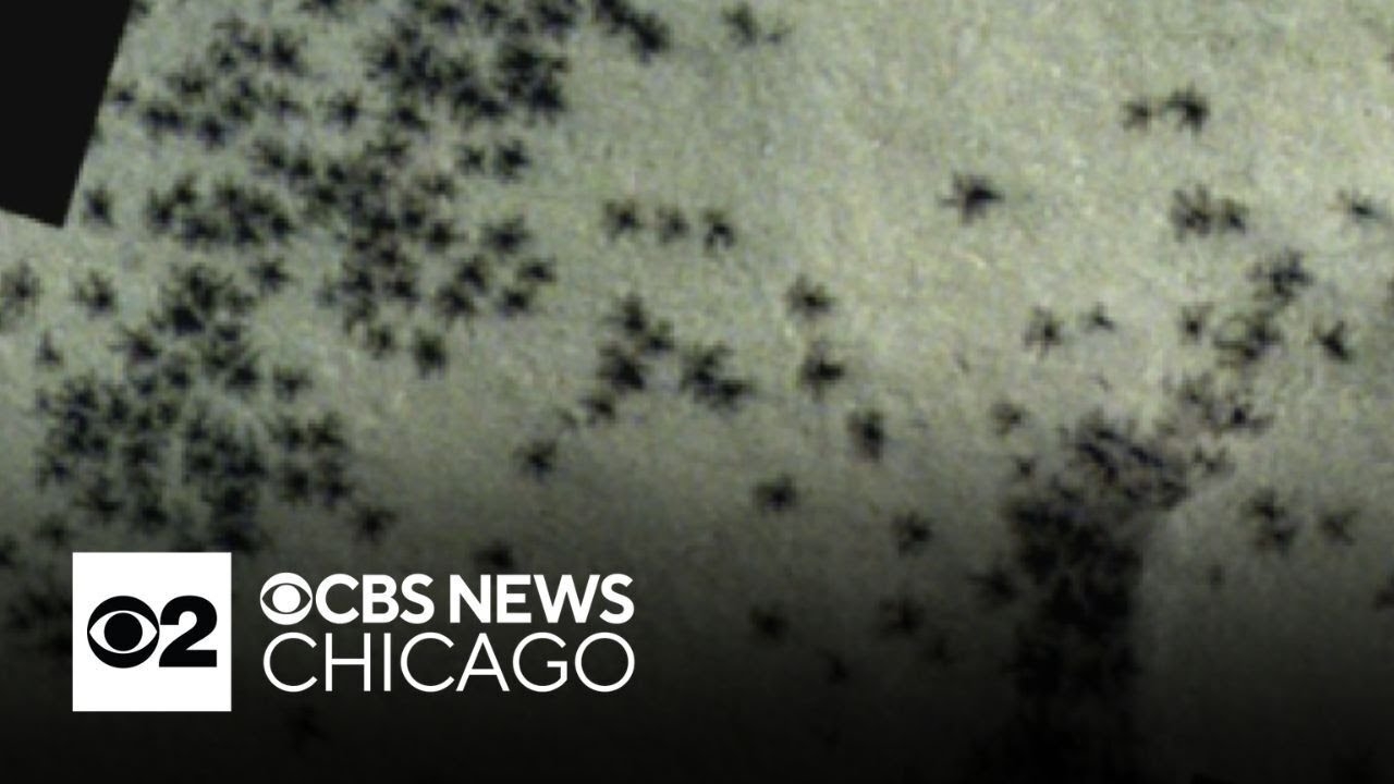 "Spiders" spotted on Mars? Not exactly