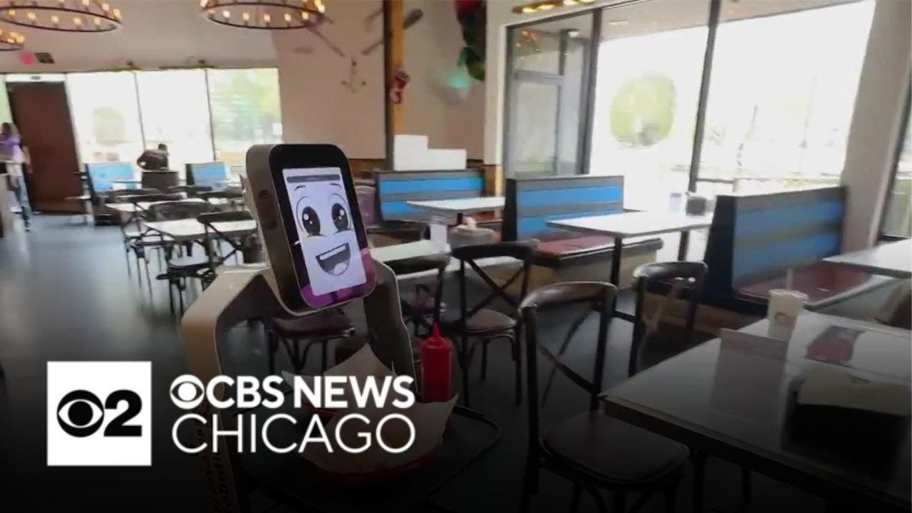 "Rosie" the restaurant robot delivers food, picks up dirty dishes