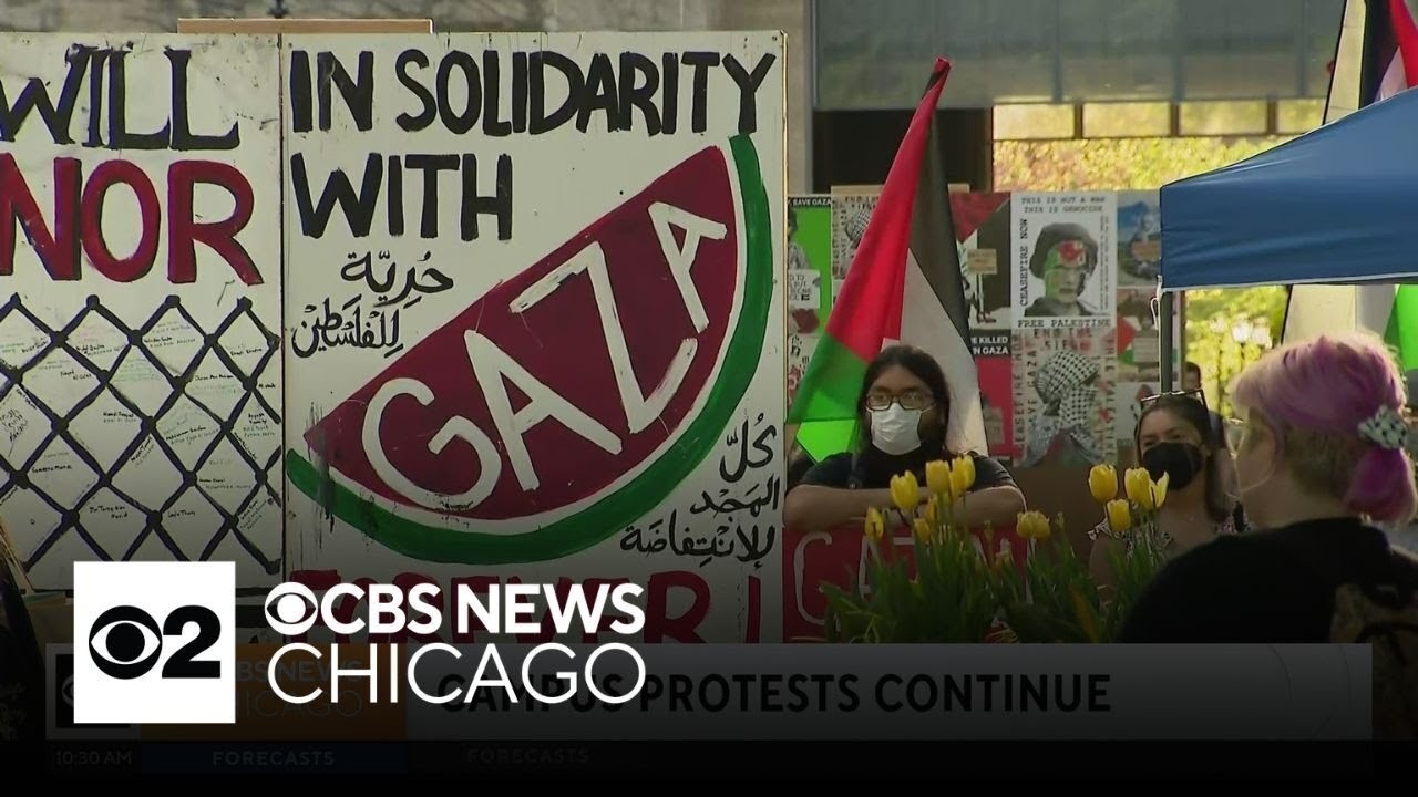 Pro-Palestinian protests continue on many college campuses as police arrest hundreds