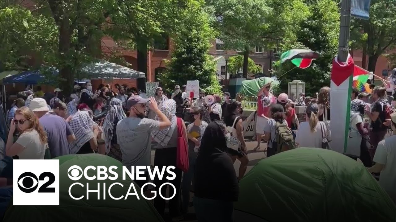 Pro-Palestinian protests at Chicago universities continue | Full Newscast