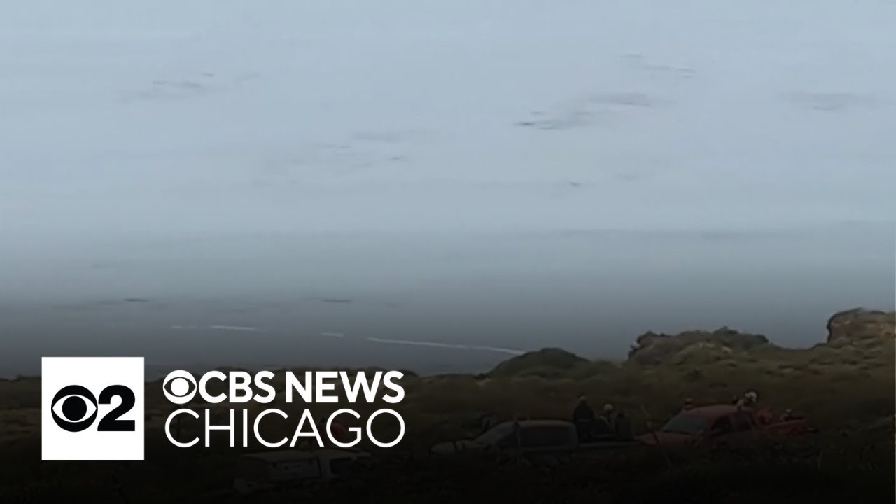 Bodies of surfers found with bullet wounds in Mexico