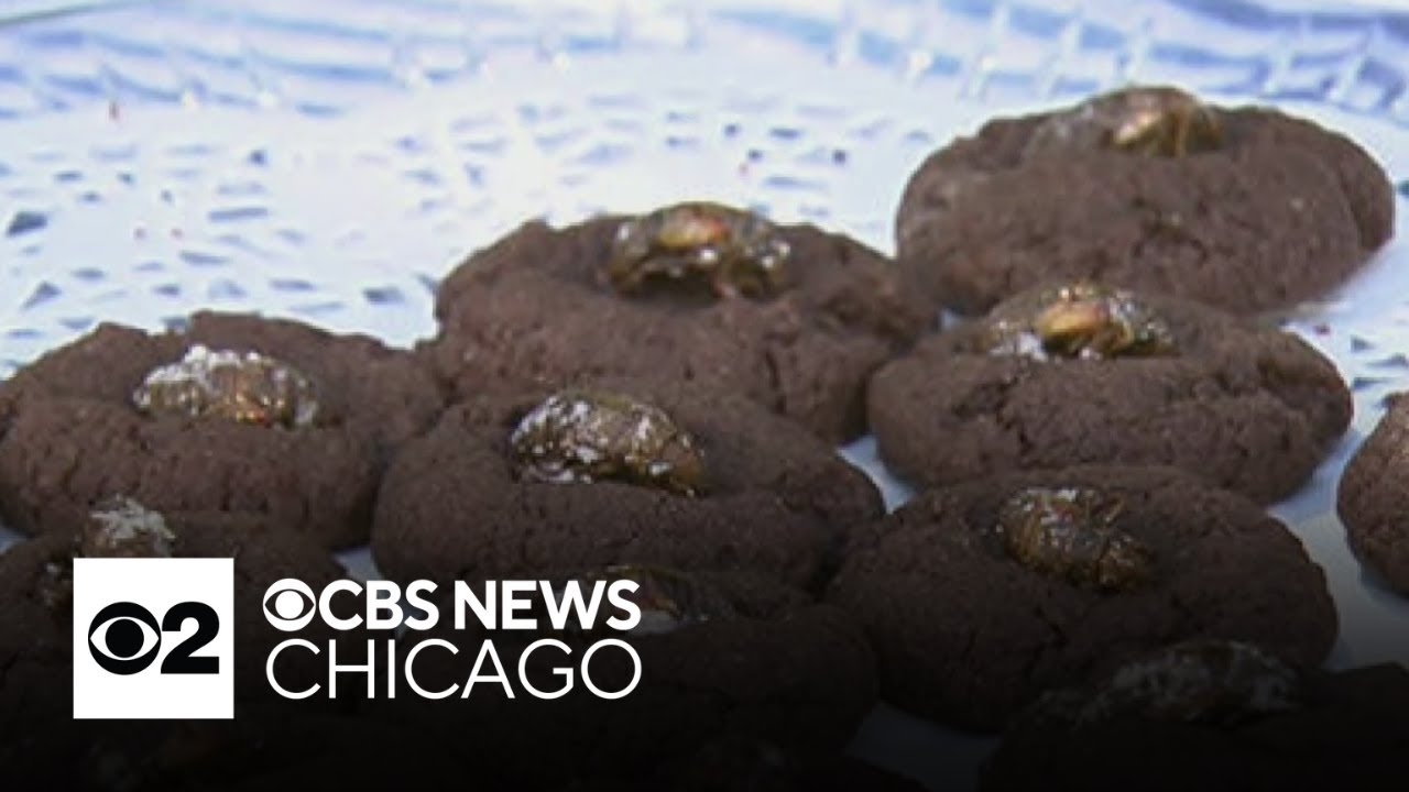 Would you eat a cicada cookie?