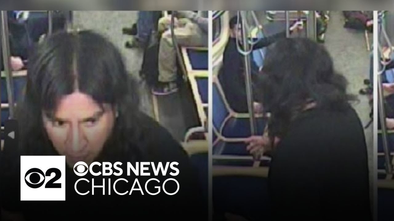 Search on for attacker on Pink Line 'L' train in Chicago