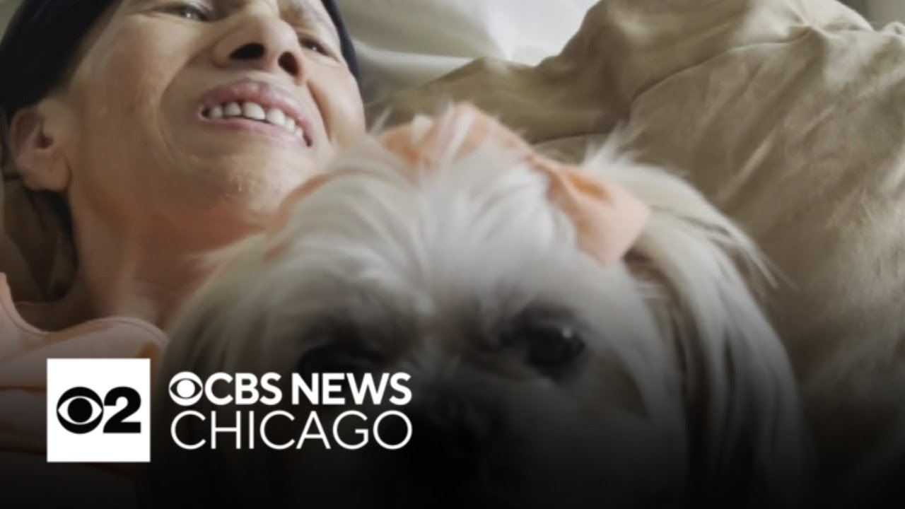 Woman reunited with therapy dog in Waukegan, Illinois