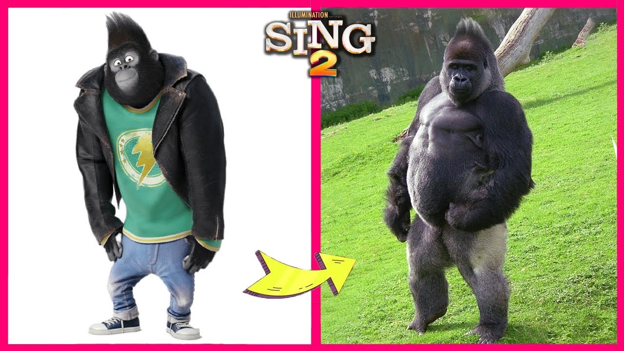Sing 2 Movie Characters And Their Biggest Fans! | Sing 2 In Real Life And Their Other Favorites!