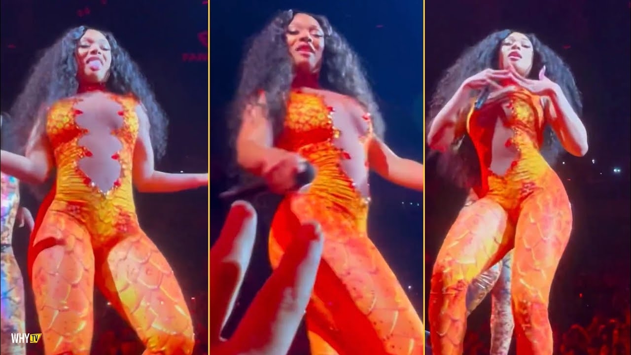 Megan Thee Stallion Rapping At Not Like Us Of Kendrick Lamar At Her Show In Los Angeles