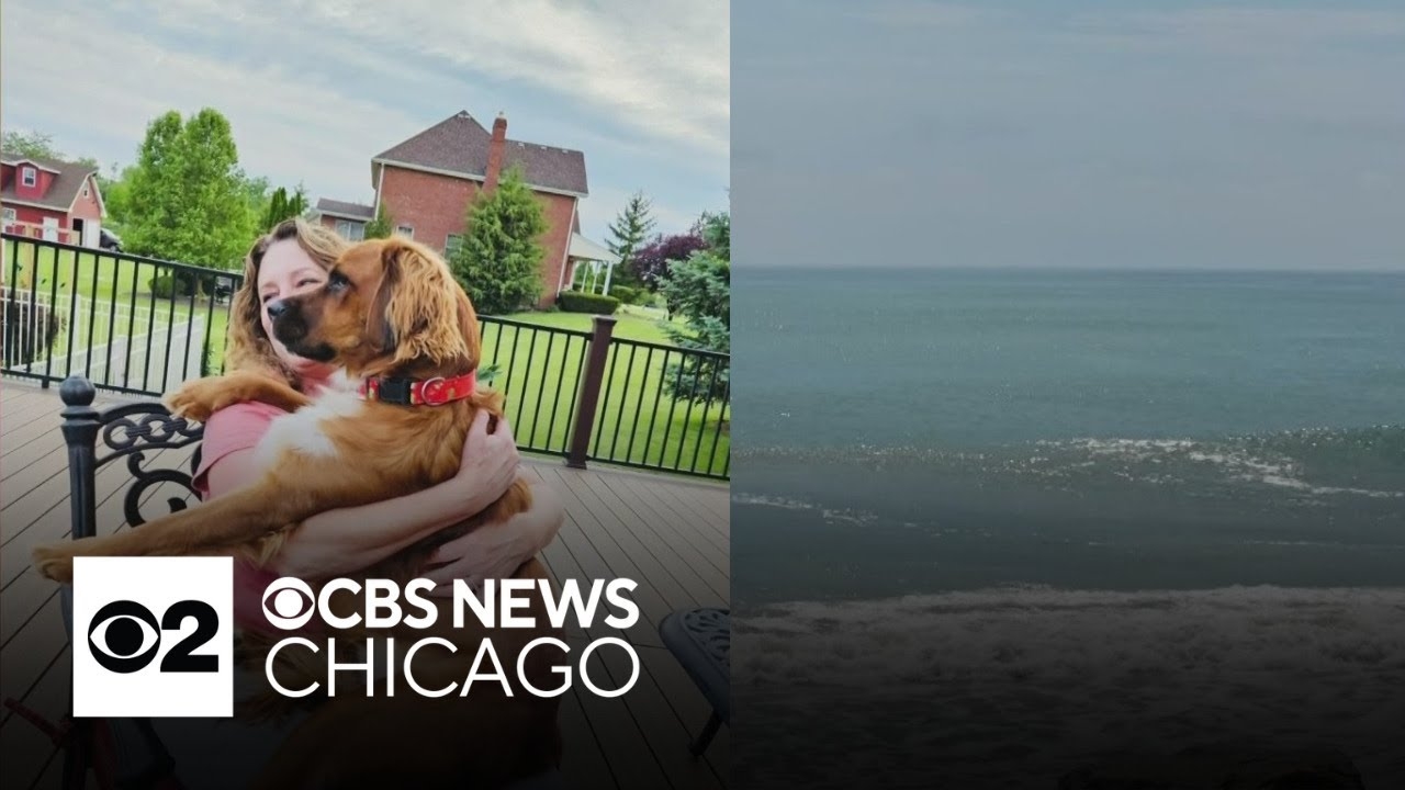 What Caught My Eye - Happy 1 year Lucy, rip currents