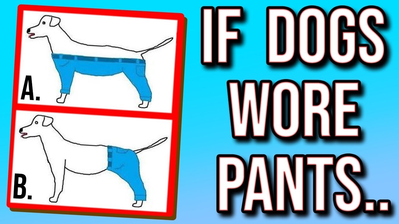 YOU VOTED: the most CONTROVERSIAL questions..