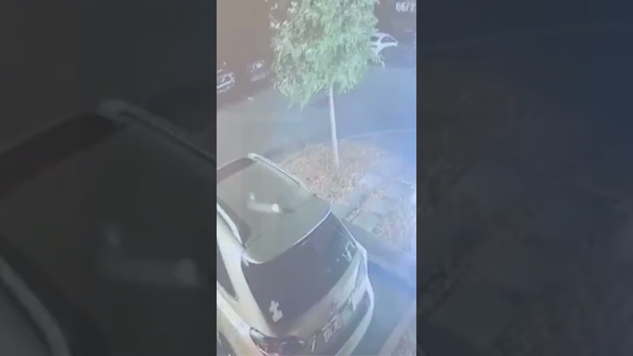 Surveillance FOOTAGE of JULIO FOOLIO