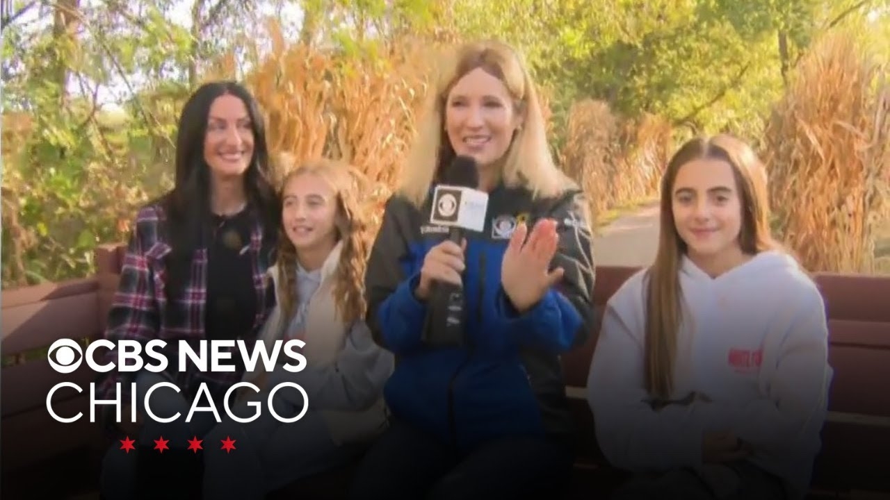 Sonny Acres Farm hosting family-friendly fall festival