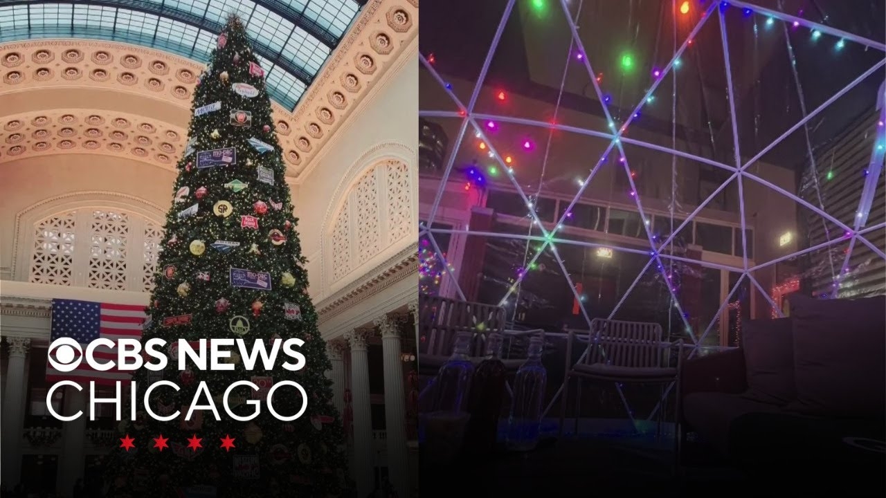 Union Station tree, River North rooftop | What Caught My Eye