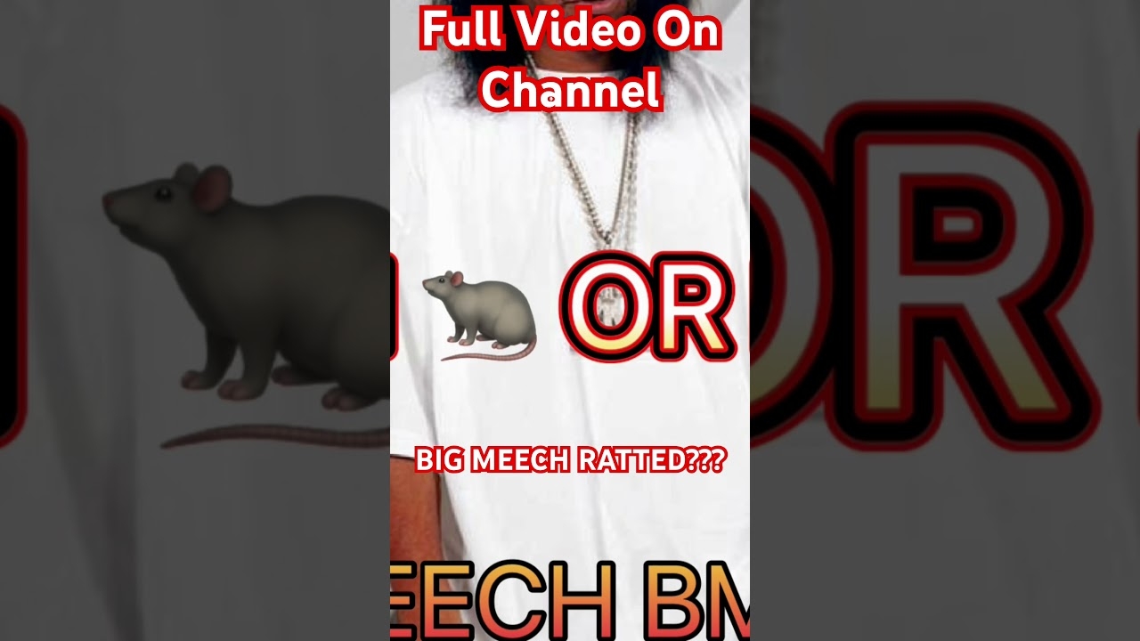 Did Big Meech Rat? Tammy Cuffy & Bleu More BMF Story