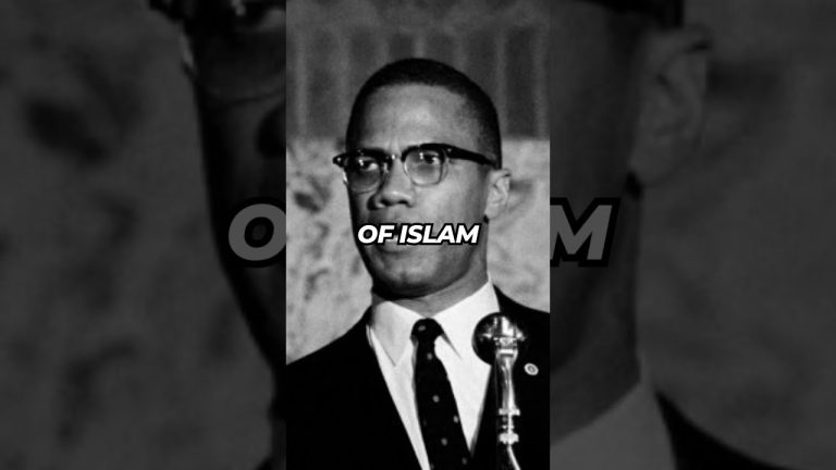 Black History On The Go - Malcolm X