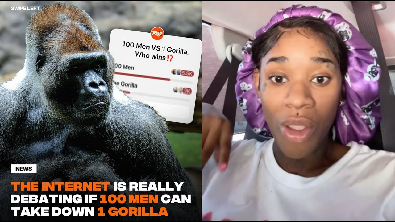 Rappers & Celebs Reacts To 100 Men vs Gorilla Sexyy Red, LL Cool J, Glorilla, Freddie Gibbs