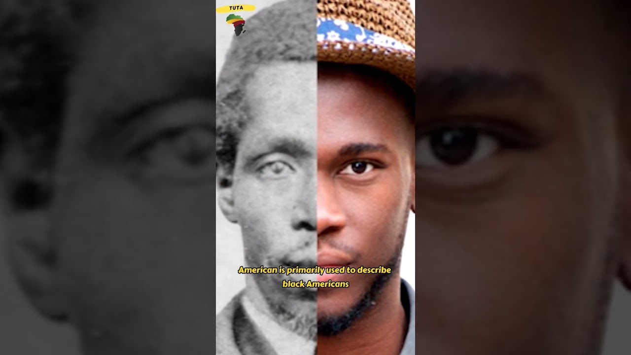 Is Elon Musk African American?  #shorts