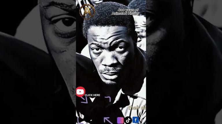 Animated History of African Americans #africanamerican #blackhistory #slavery #civilrights #history