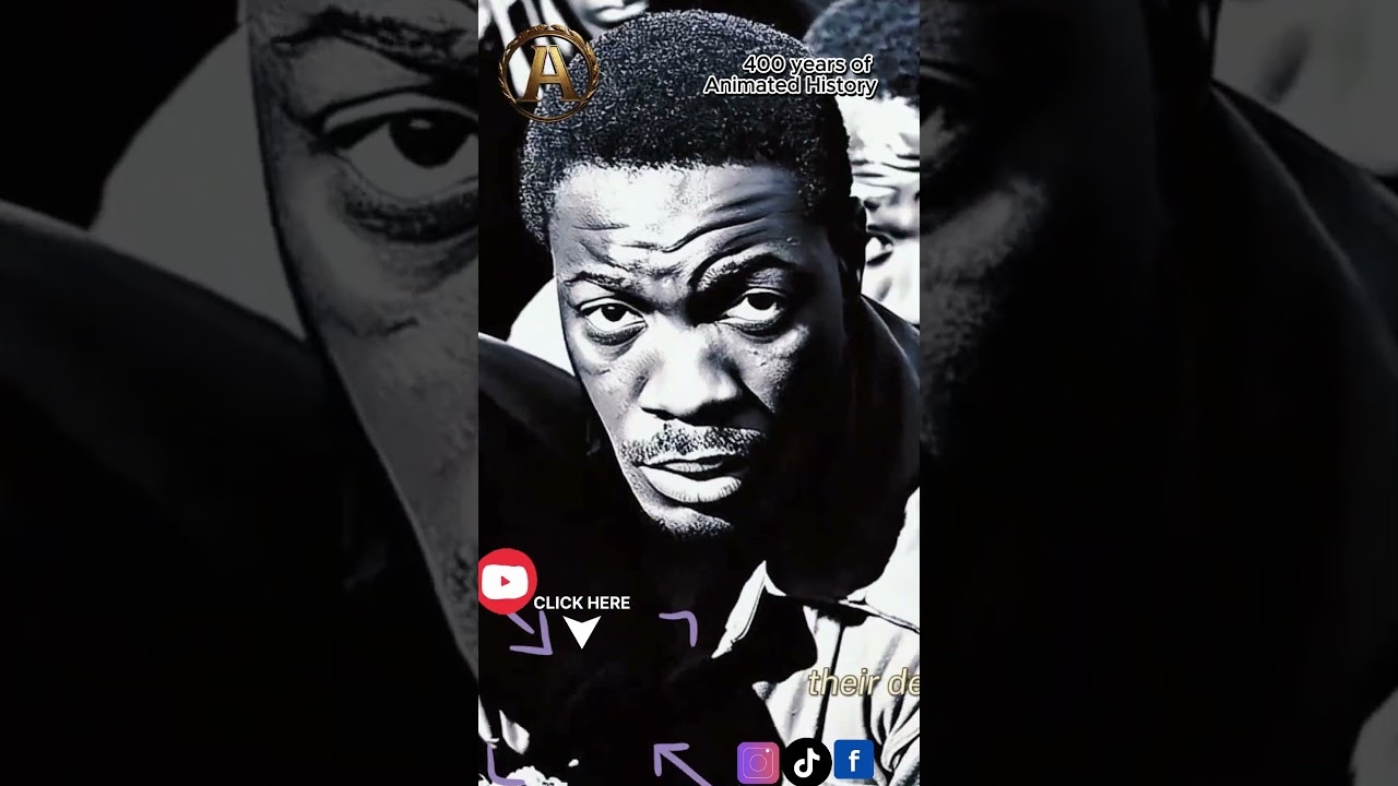 Animated History of African Americans #africanamerican #blackhistory #slavery #civilrights #history