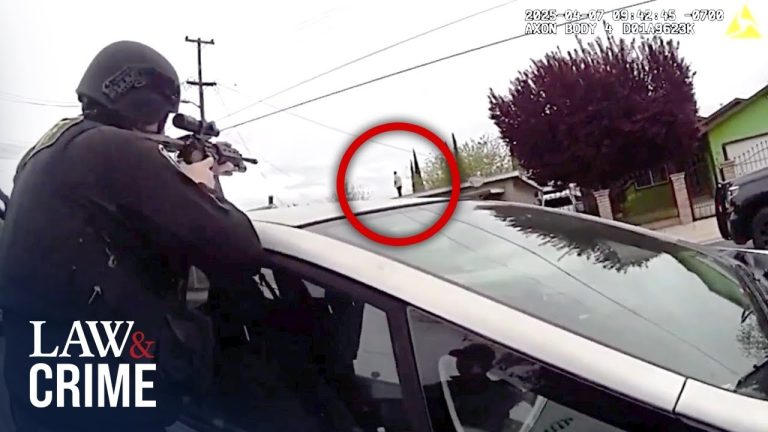 Deputies Kill Criminal Hiding on Roof